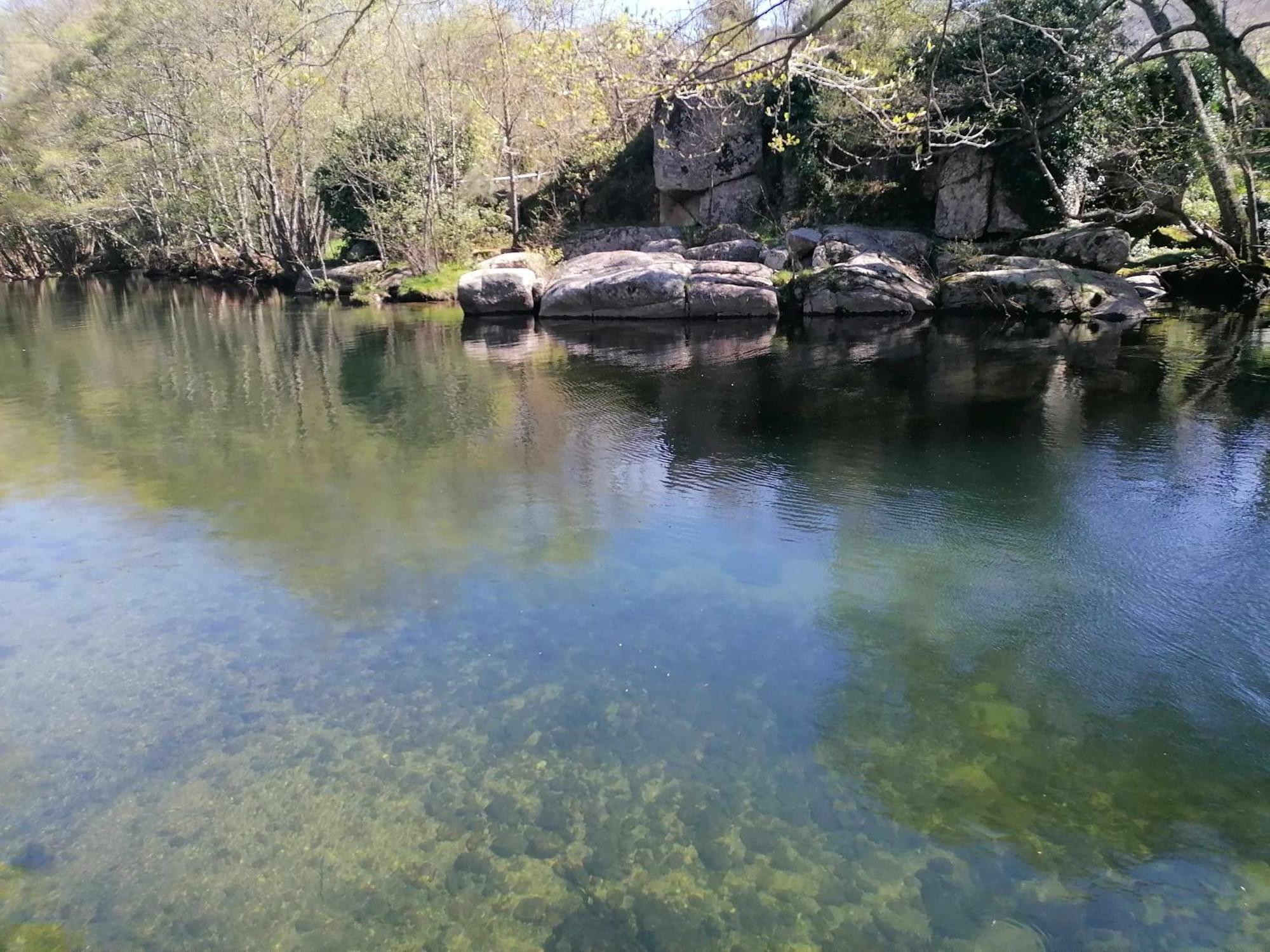 Quinta Do Moinho Turismo De Natureza Aldeia Vicosa Ngoại thất bức ảnh