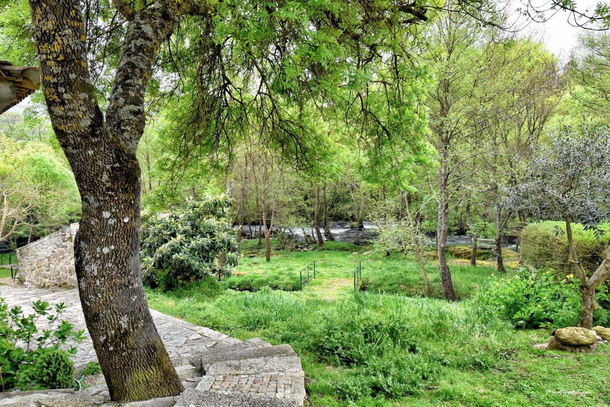 Quinta Do Moinho Turismo De Natureza Aldeia Vicosa Ngoại thất bức ảnh